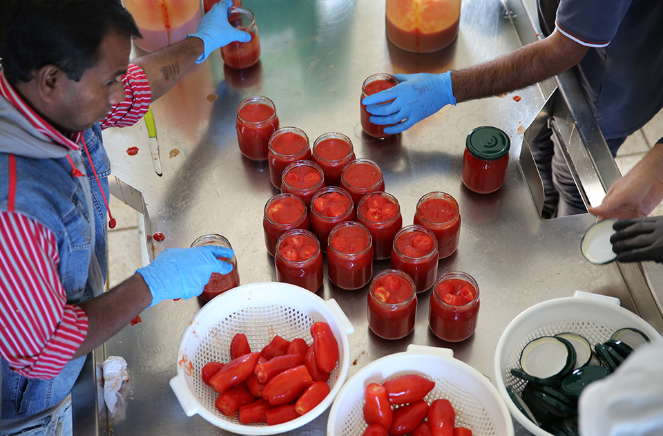 Immagine: Funky Tomato