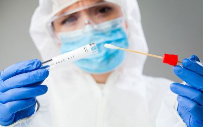 Immagine: &nbsp;
&nbsp;
&nbsp;
&nbsp;
&nbsp;